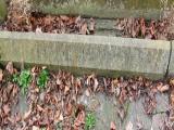 image of grave number 329345